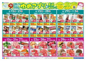 6/15（月）-7/5（日）のチラシ画像