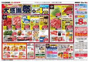 06/13号のチラシ画像