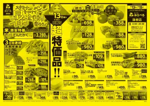 6/13〜6/15販売分のチラシ画像