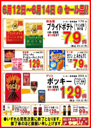 6月第2週チラシのチラシ画像