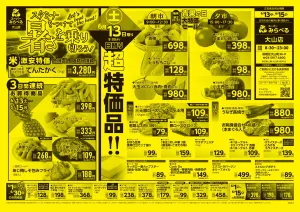 6/13〜6/15販売分のチラシ画像