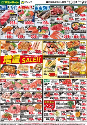 6月13日〜6月19日のチラシ画像