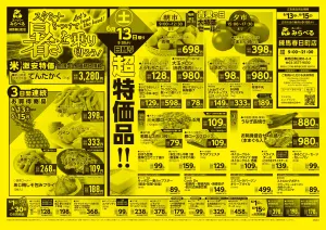 6/13〜6/15販売分のチラシ画像