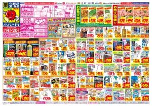 6/14(日)〜6/20(土)のチラシ画像