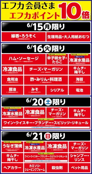6/15〜エフカポイント10倍商品のご案内のチラシ画像