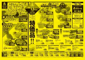 6/13〜6/15販売分のチラシ画像