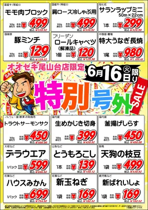 6/16（火）限りのチラシ画像