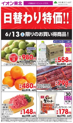 6/13日替わりのチラシ画像