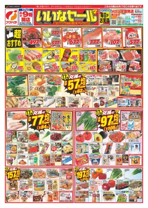 17日いいなセールのチラシ画像