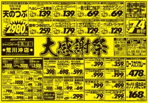 6月13日号のチラシ画像