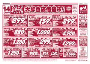6月14日〜6月15日　チラシ情報のチラシ画像