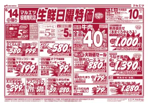 6月14日〜6月15日　チラシ情報のチラシ画像