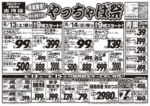 6月13日号のチラシ画像