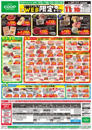 WEB限定チラシのチラシ画像