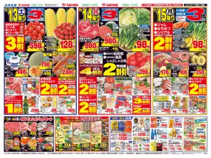 6/13(土)〜6/15(月)のチラシ画像