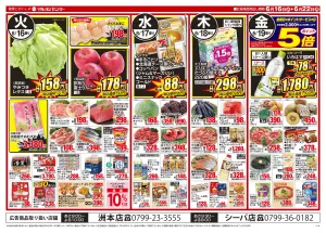 6/16〜6/22のチラシ画像