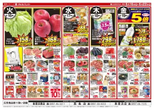 6/16〜6/22のチラシ画像