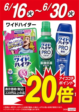 花王ワイドハイター　ポイント20倍のチラシ画像