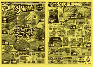 6月16日(火)〜6月17日(水)のチラシ画像