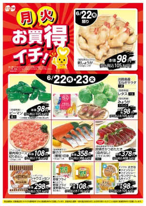 お買得イチ！のチラシ画像
