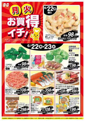 お買得イチ!のチラシ画像