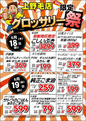 6/18（木）〜6/19（金）のチラシ画像