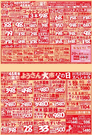 ビッグヨーサン6月は45周年大創業祭！感謝の限定販売！ようさん大市父の日スペシャル！のチラシ画像