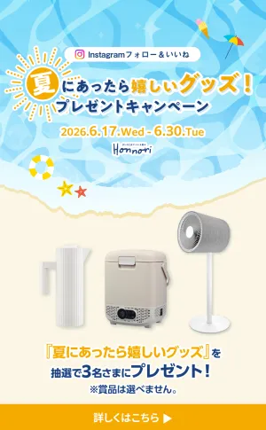 Instagram フォロー&いいね　夏にあったら嬉しいグッズ！プレゼントキャンペーンのチラシ画像