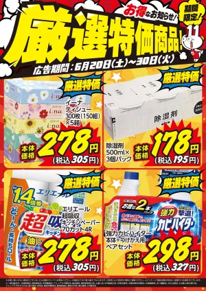 6月20日〜30日限定！ お得な厳選特価商品のお知らせ！のチラシ画像