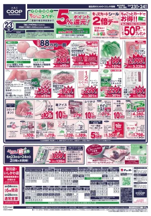 日配大放出のチラシ画像