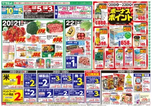 6月20日(土)〜6月22日(月)号のチラシ画像