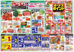 6月20日(土)〜6月22日(月)号のチラシ画像