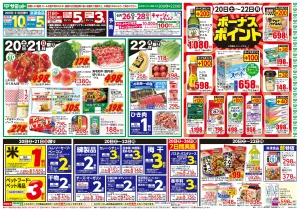 6月20日(土)〜6月22日(月)号のチラシ画像