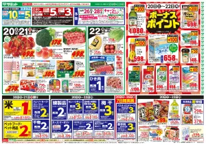 6月20日(土)〜6月22日(月)号のチラシ画像