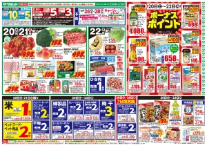 6月20日(土)〜6月22日(月)号のチラシ画像