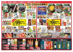 6/22（月）〜6/24（水）のチラシ画像