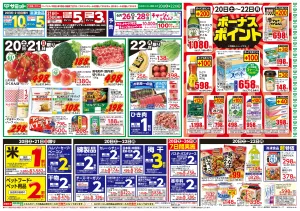 6月20日(土)〜6月22日(月)号のチラシ画像