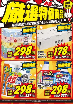 6月20日〜30日限定！ お得な厳選特価商品のお知らせ！のチラシ画像