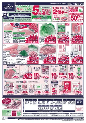 日配大放出のチラシ画像