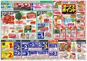 6月20日(土)〜6月22日(月)号のチラシ画像