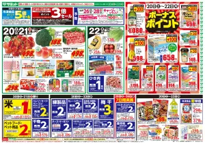6月20日(土)〜6月22日(月)号のチラシ画像