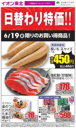6/19日替わりのチラシ画像