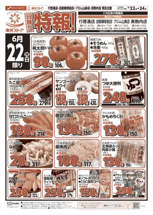 日替り特報！のチラシ画像