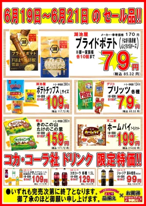 6月第3週チラシのチラシ画像