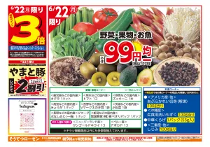 6/22〜6/23のチラシ画像