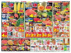 6/20日(土)〜6/22日(月) 家族で楽しむ父の日のごちそうのチラシ画像