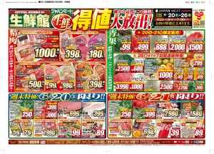 6月20日号のチラシ画像