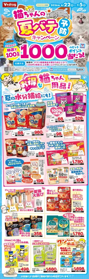 猫ちゃんの夏バテ予防キャンペーン！のチラシ画像
