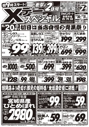 6月20日号のチラシ画像