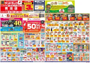 6月4週目のチラシ画像